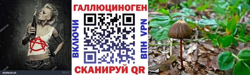 Галлюциногенные грибы ЛСД  наркошоп  Каменка 